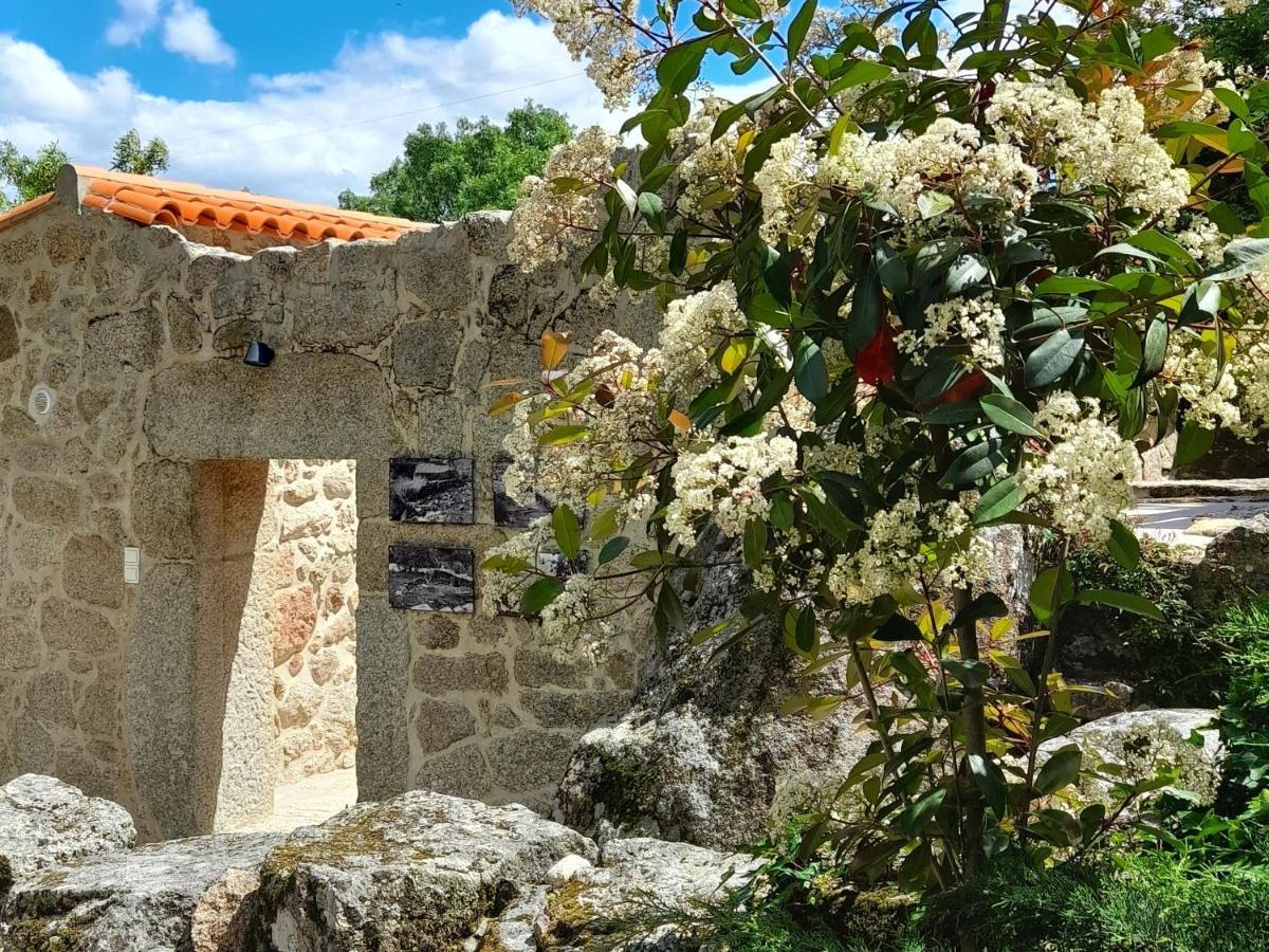 Fragas Do Lobo - Casa Da Azenha Villa Castelo Novo Exterior photo